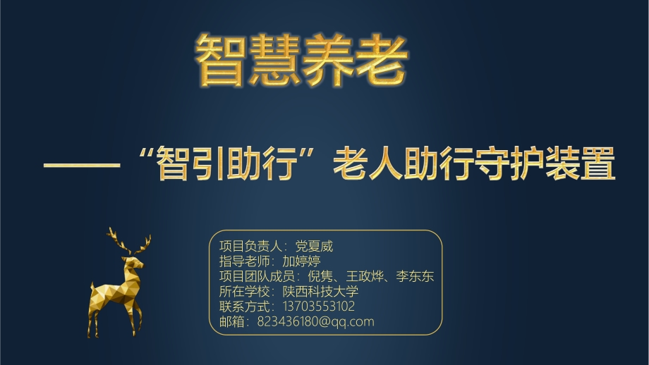 智慧养老-“智引助行”老人助行守护装置.pdf_第1页